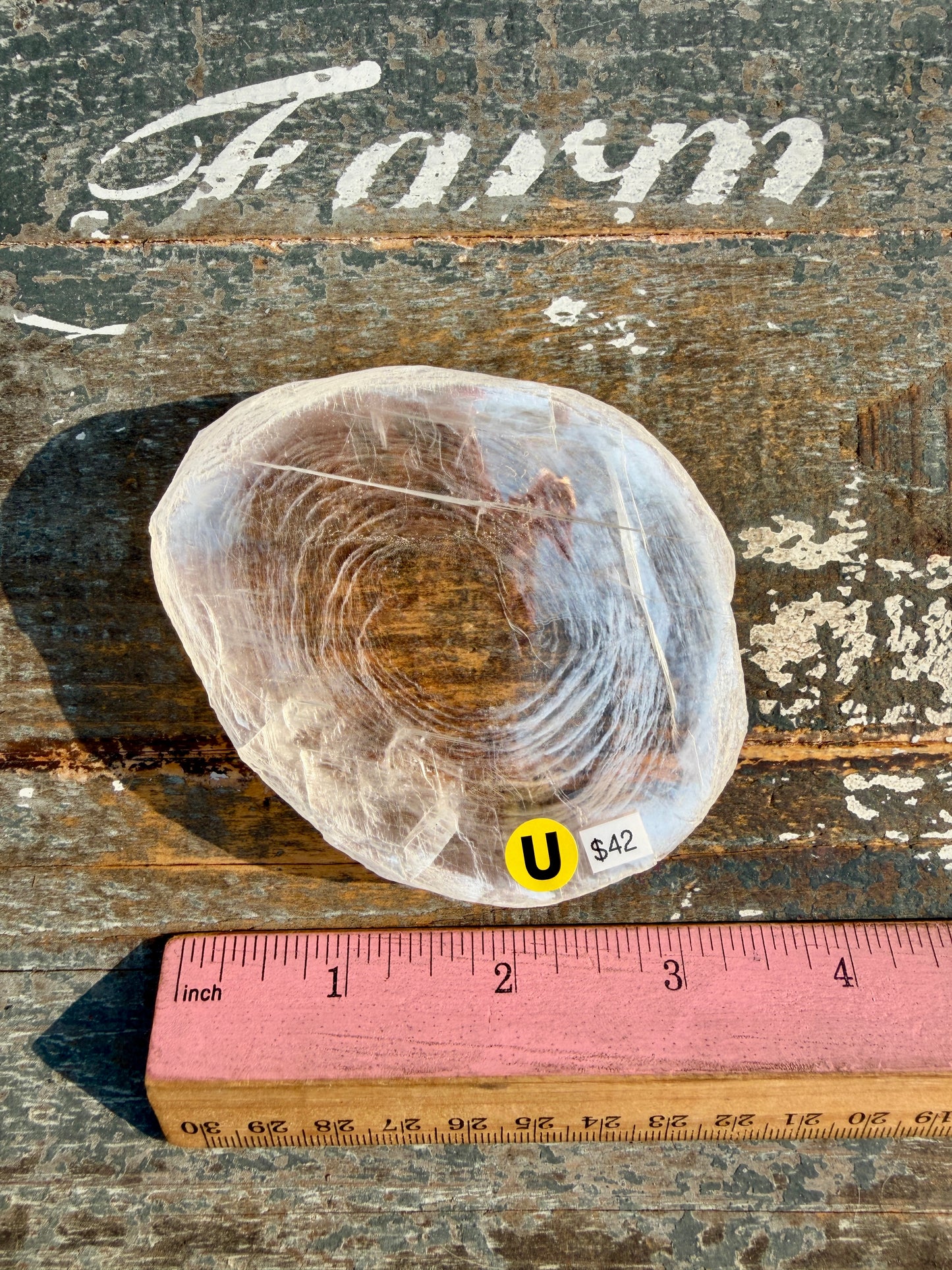 Gorgeous Finger Print Selenite | Opt U