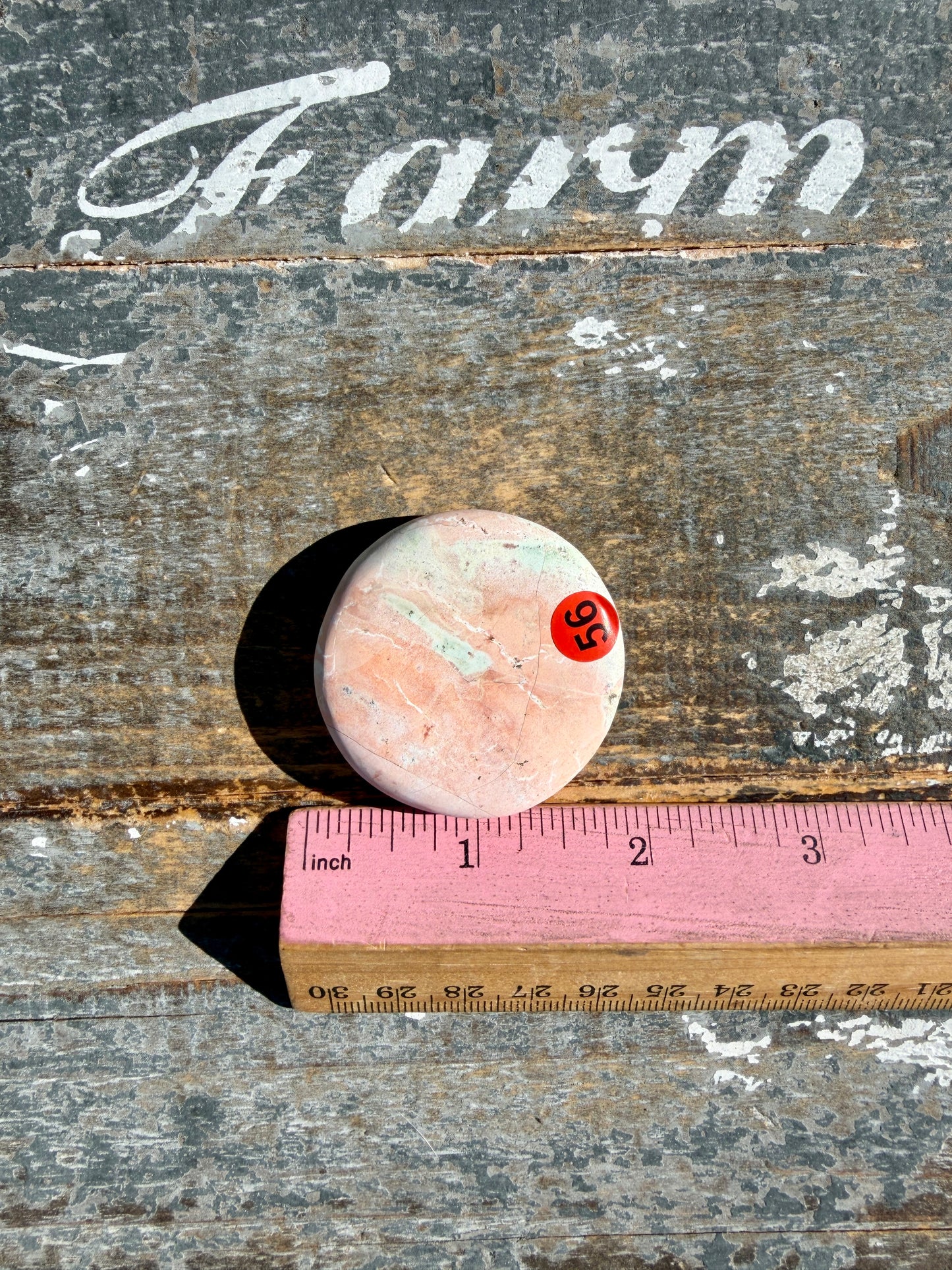 Colorful Unicorn Jasper Medallion | India | Opt 56