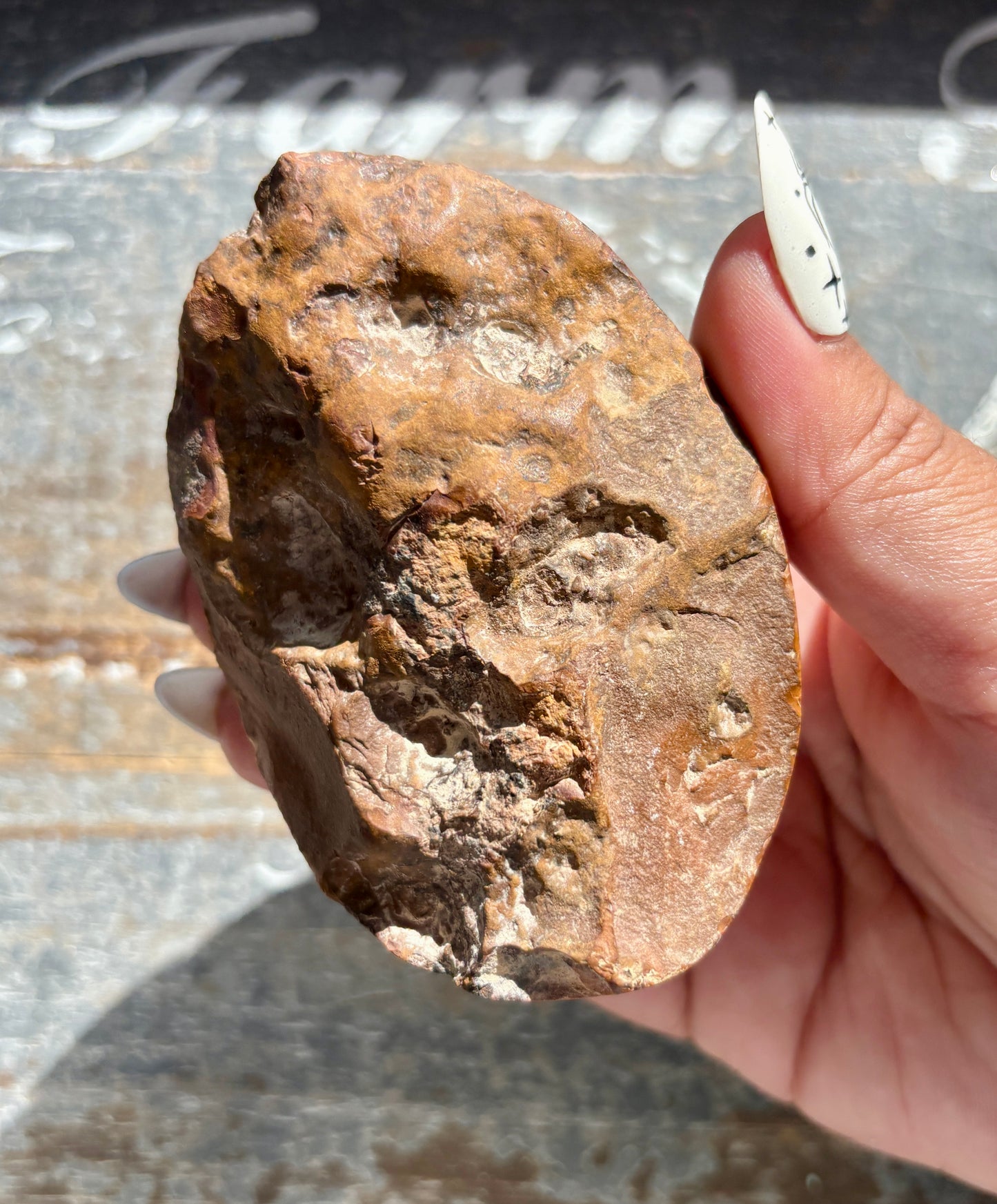 Gorgeous Polychrome Jasper Freeform Half Polished/Half Raw from Madagascar