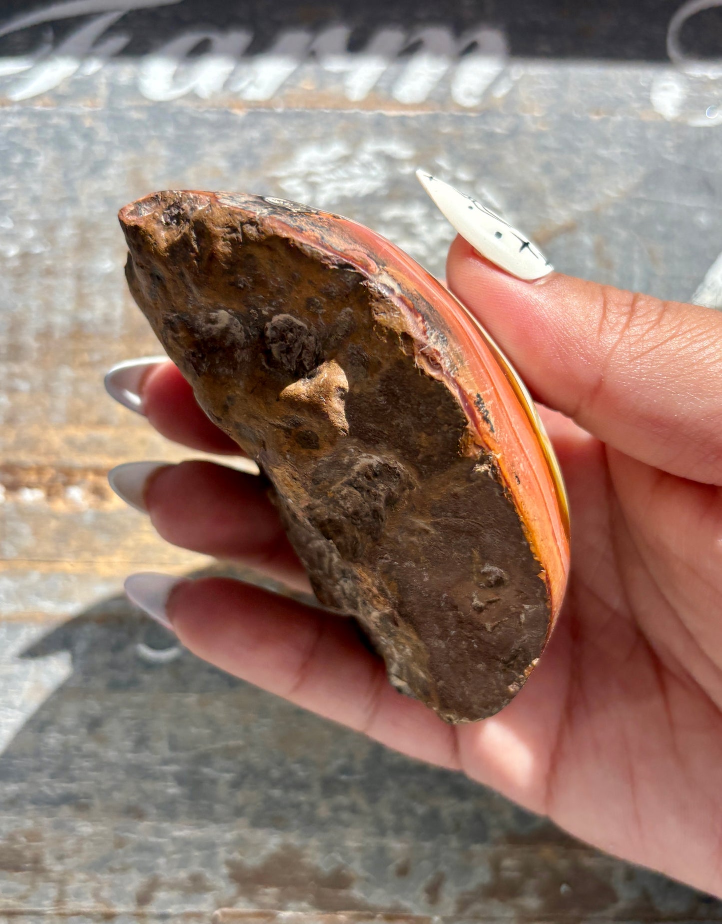 Gorgeous Polychrome Jasper Freeform Half Polished/Half Raw from Madagascar