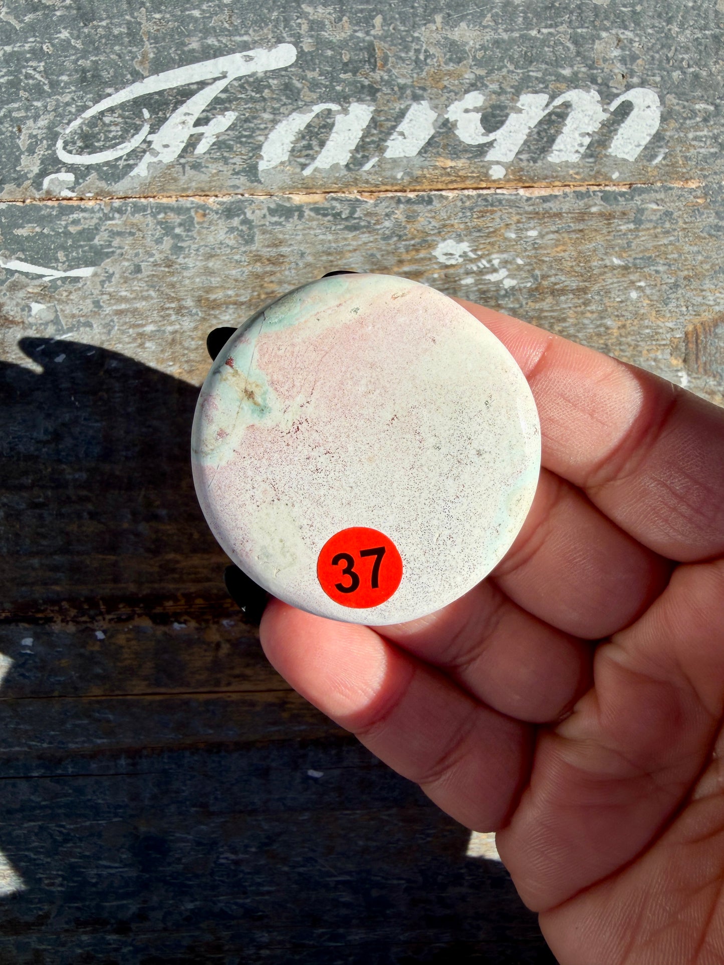 Colorful Unicorn Jasper Medallion | India | Opt 37