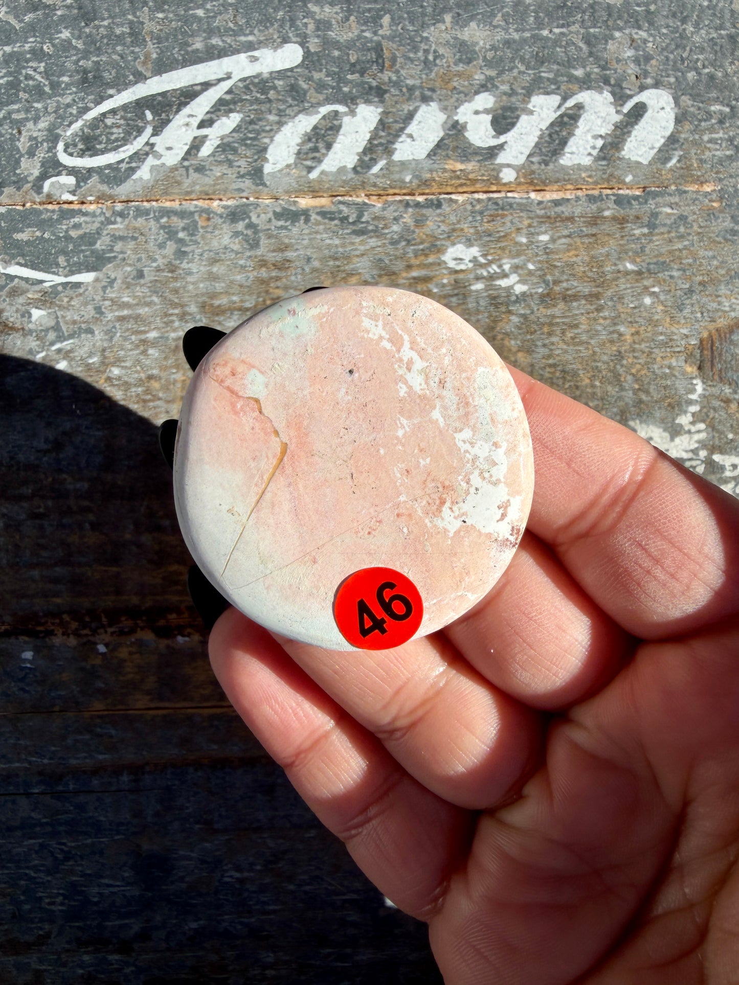 Colorful Unicorn Jasper Medallion | India | Opt 46
