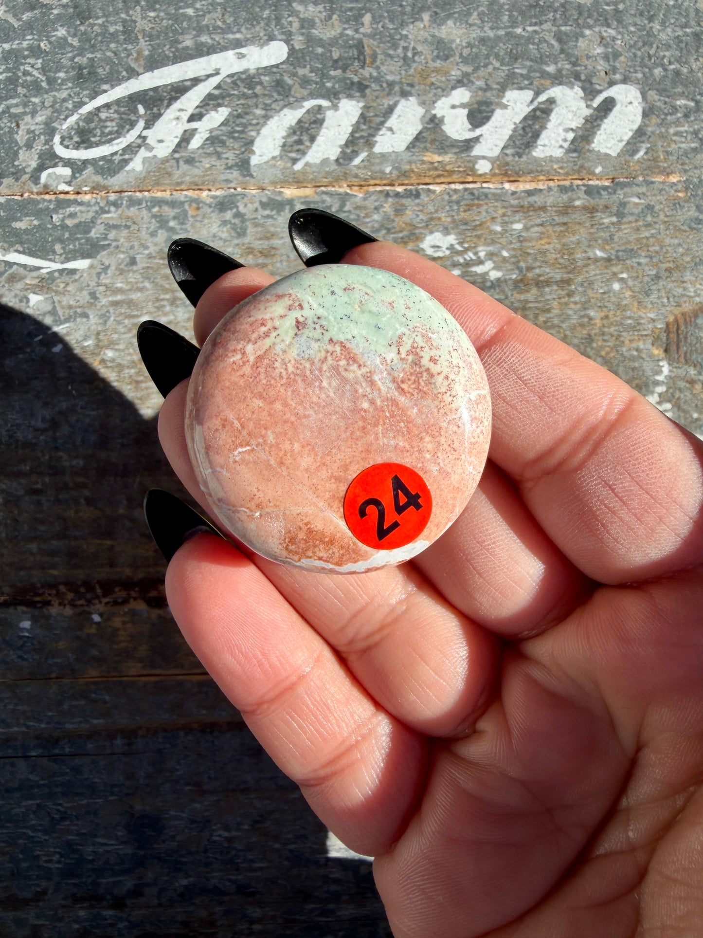 Colorful Unicorn Jasper Medallion | India | Opt 24