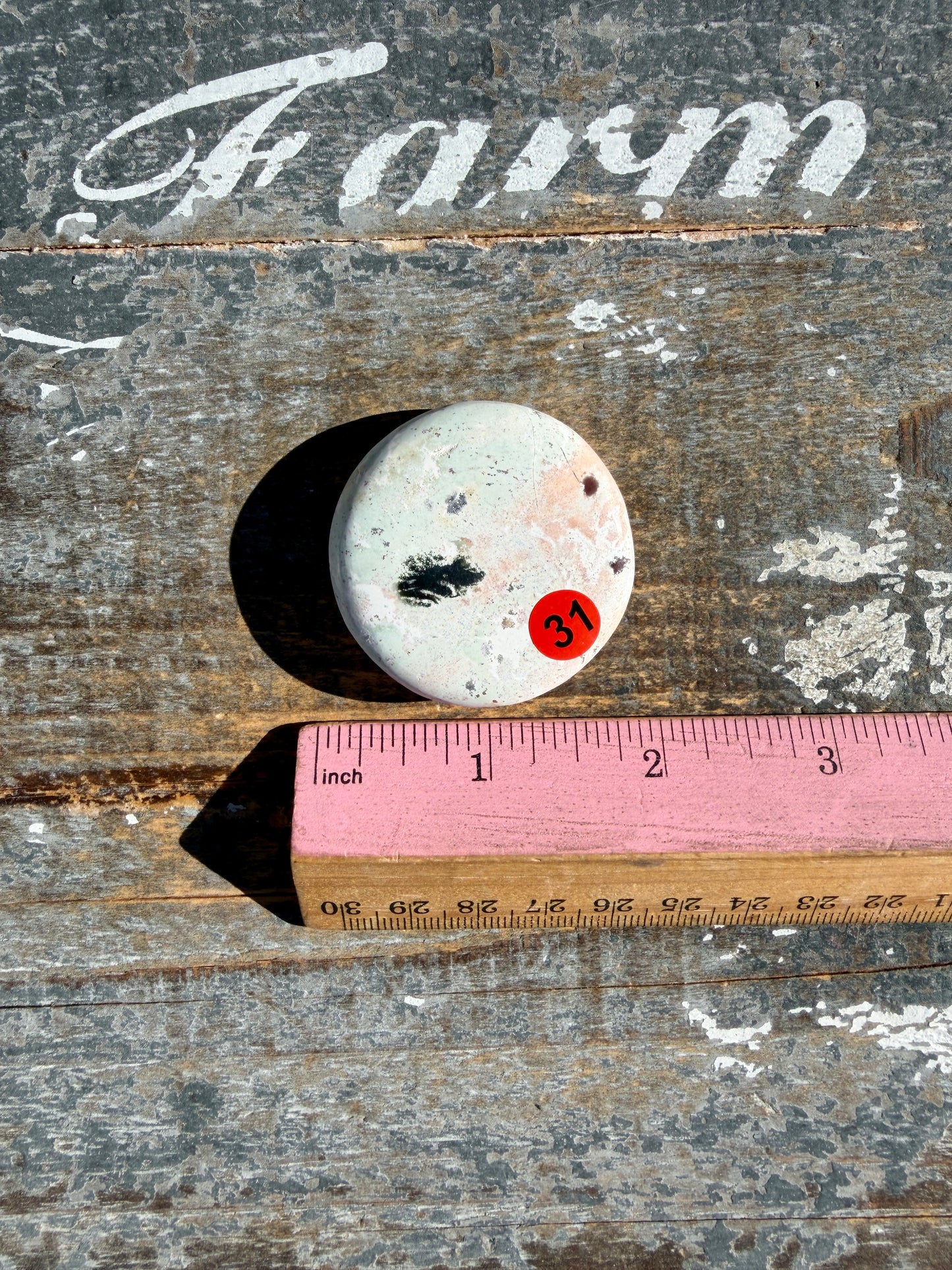 Colorful Unicorn Jasper Medallion | India | Opt 31