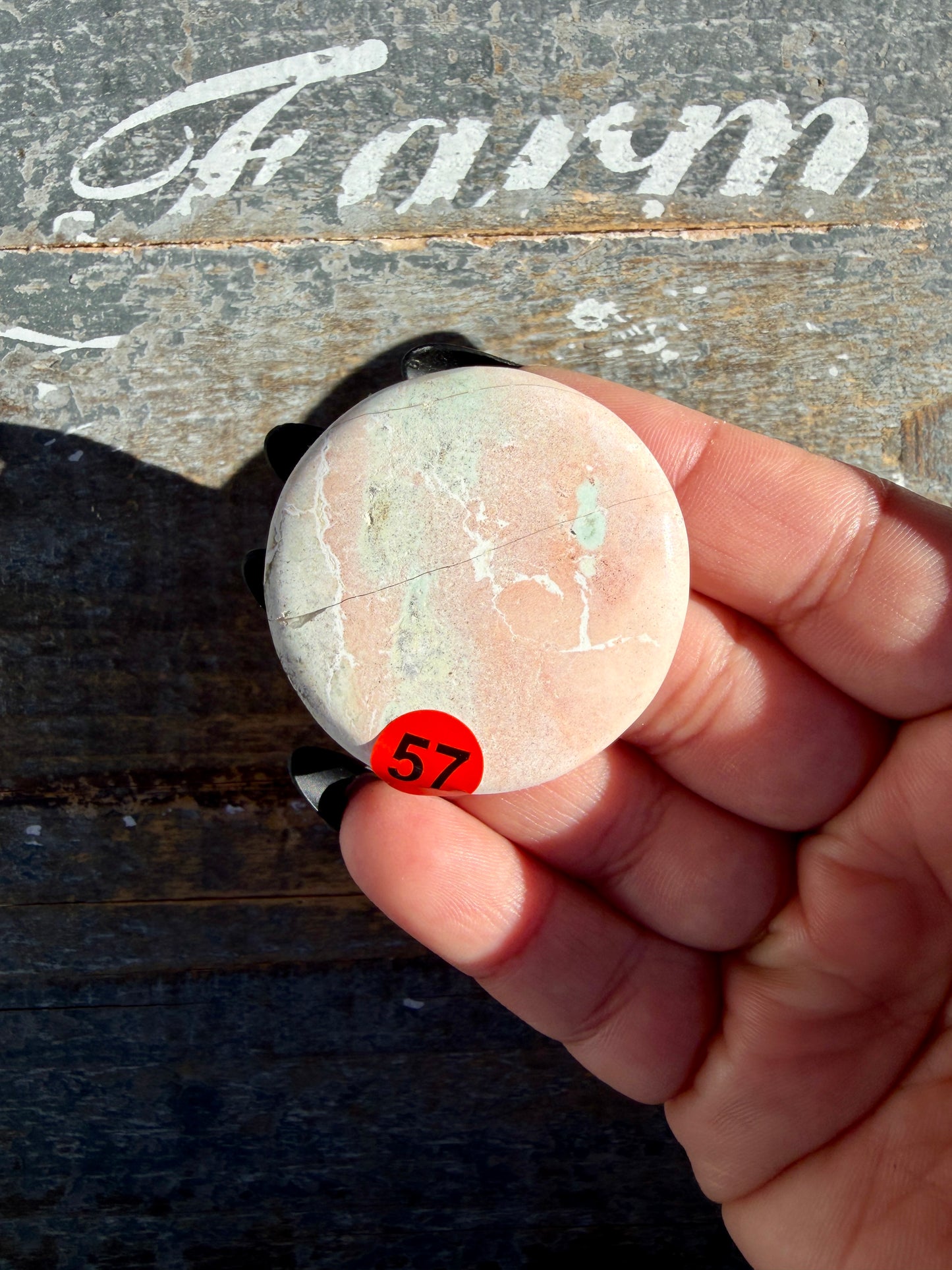 Colorful Unicorn Jasper Medallion | India | Opt 57