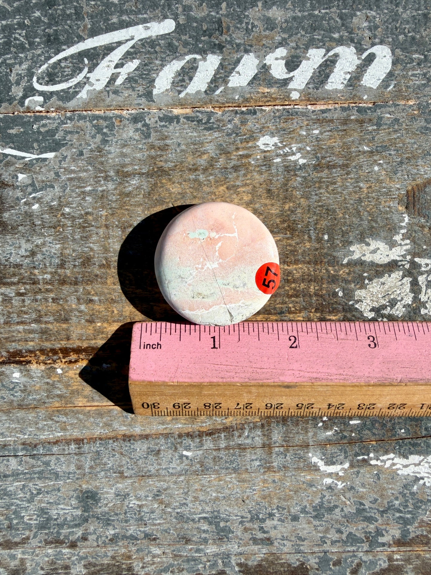 Colorful Unicorn Jasper Medallion | India | Opt 57