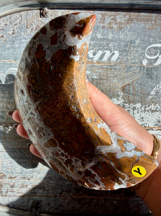Gorgeous Indonesian Brecciated Jasper Large Moon | Opt Y