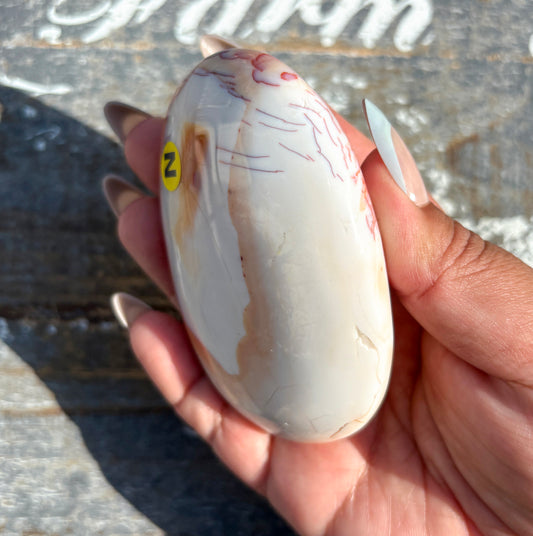 Gorgeous Banded Carnelian Palm Stones from Madagascar | N
