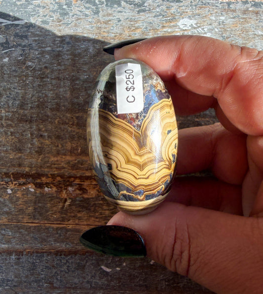 Gorgeous Polish Schalenblende Lingam | Opt C