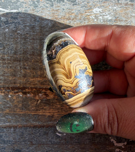 Gorgeous Polish Schalenblende Lingam | Opt C