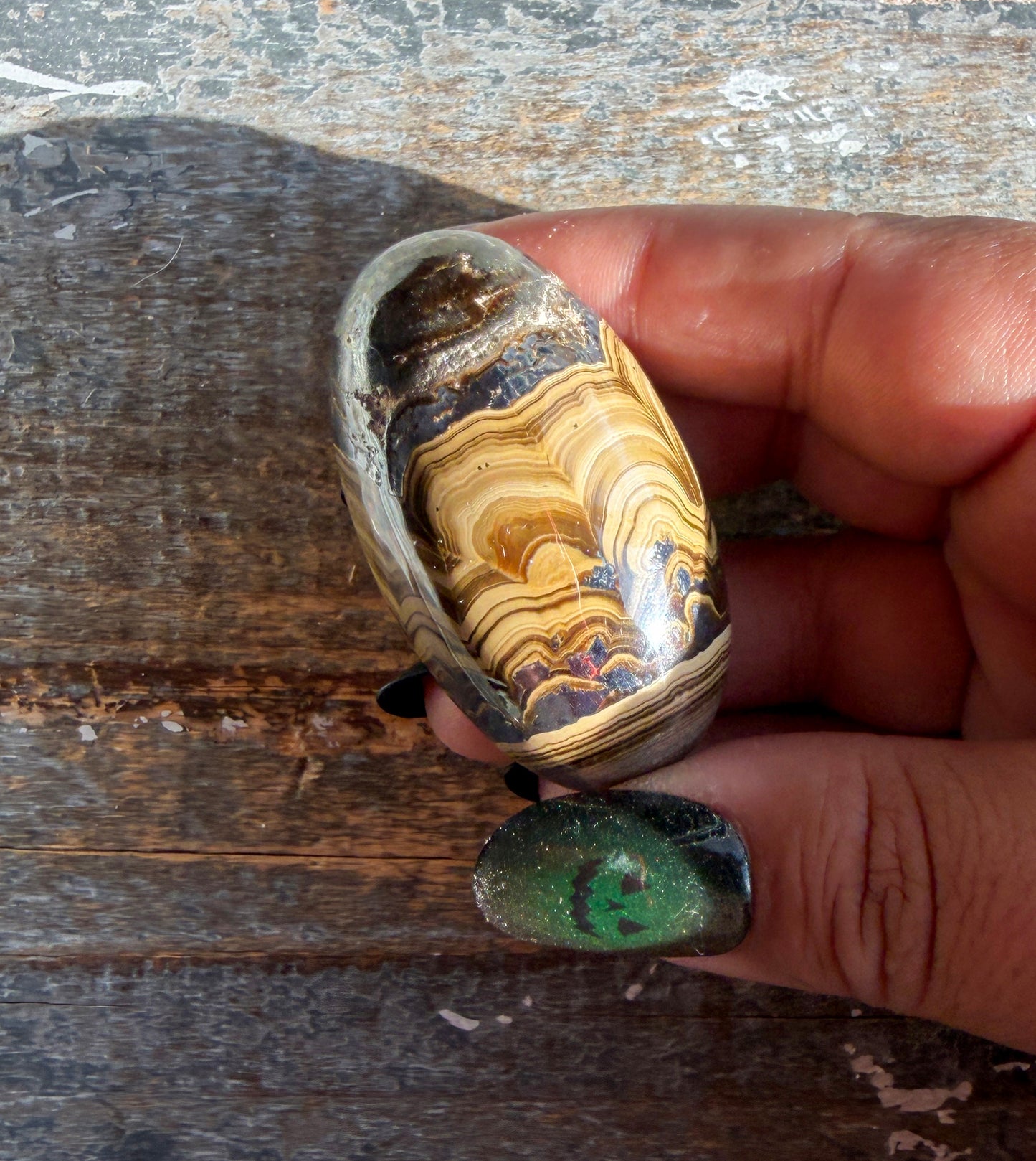 Gorgeous Polish Schalenblende Lingam | Opt C