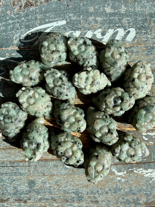 One (1) Kiwi Jasper Pocket Money Toad