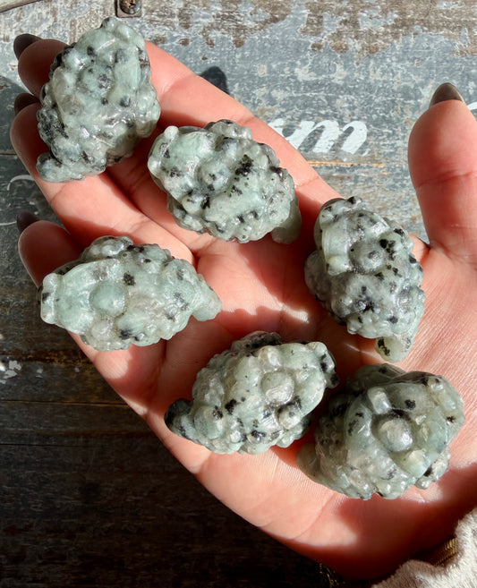 One (1) Kiwi Jasper Pocket Money Toad