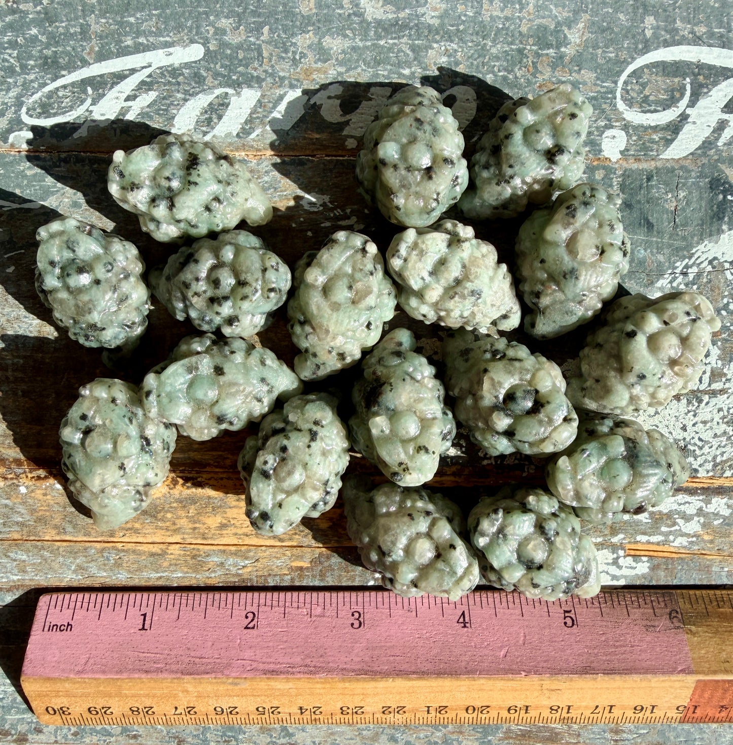 One (1) Kiwi Jasper Pocket Money Toad