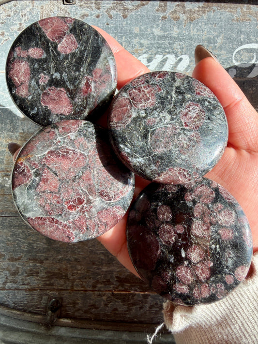 One (1) Astrophyllite with Garnet Medallion | Intuitively Chosen