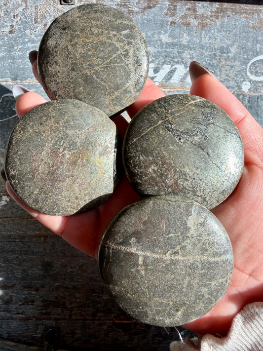 One (1) Pyrite Medallion | Intuitively chosen | Money Bowl