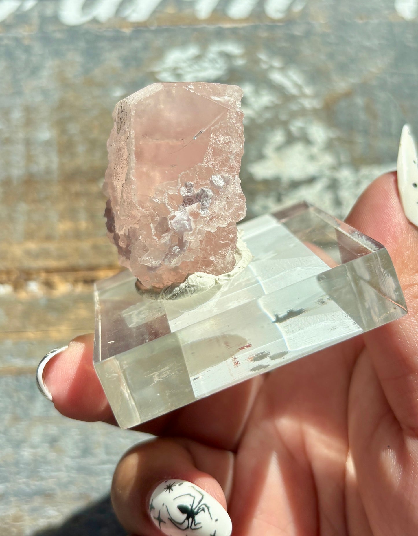 Gorgeous Peach Morganite with Lepidolite *Collectors Piece from Kunar, AFGHANISTAN