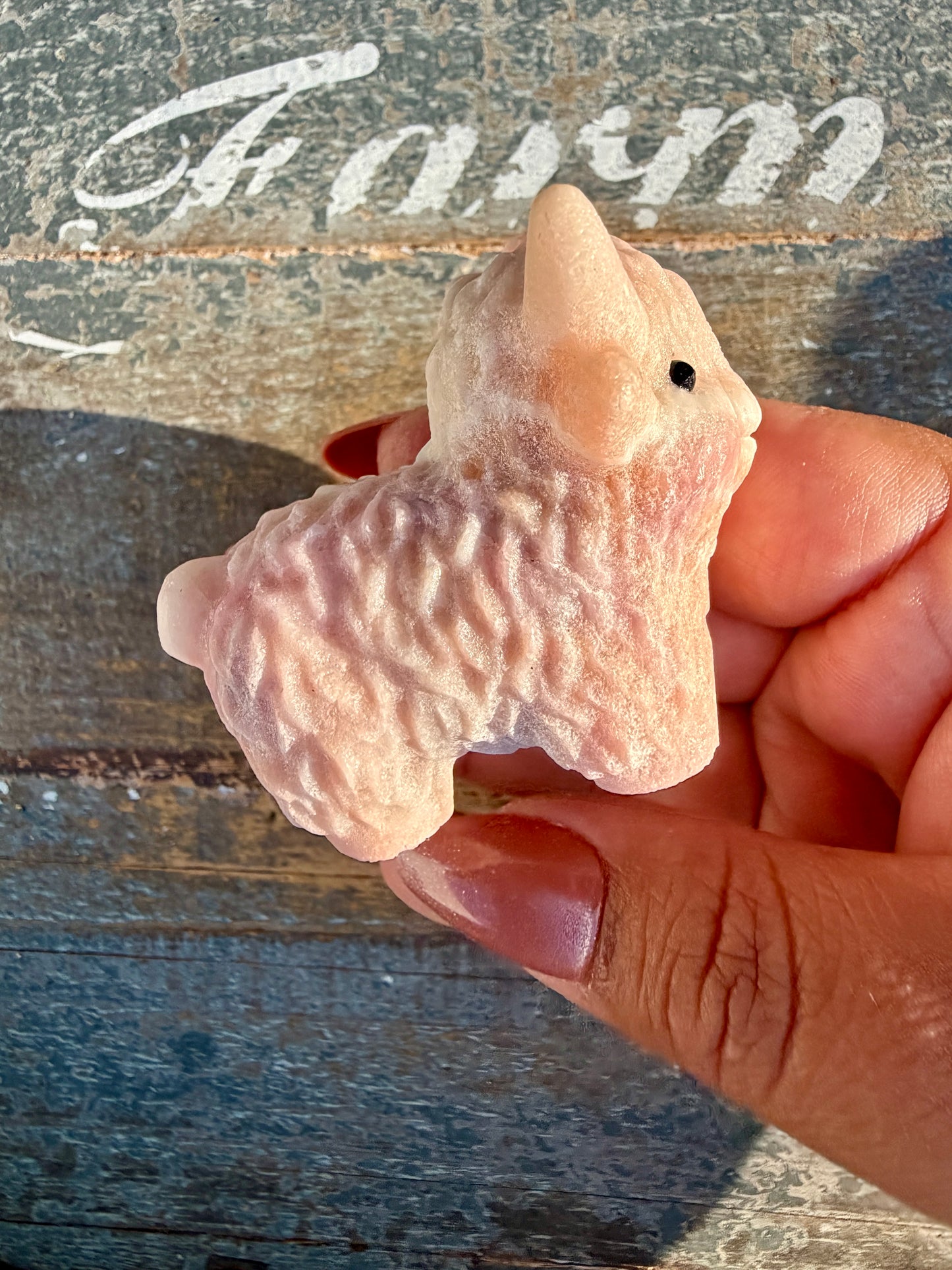 Adorable Pink Opal Highland Cow | Opt 6