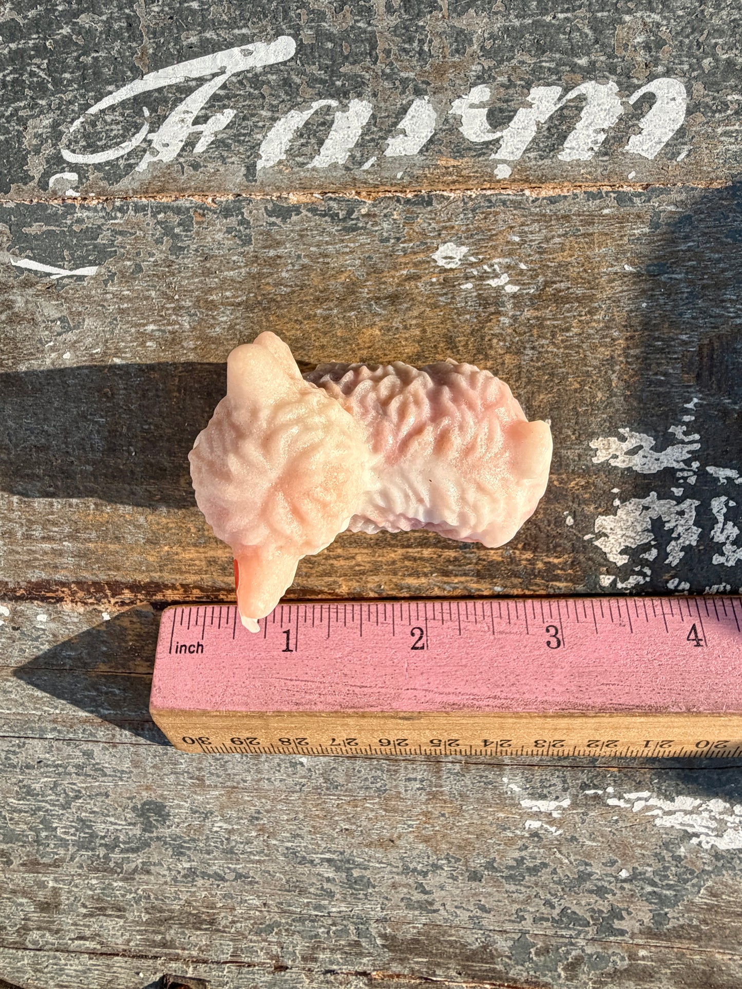 Adorable Pink Opal Highland Cow | Opt 6