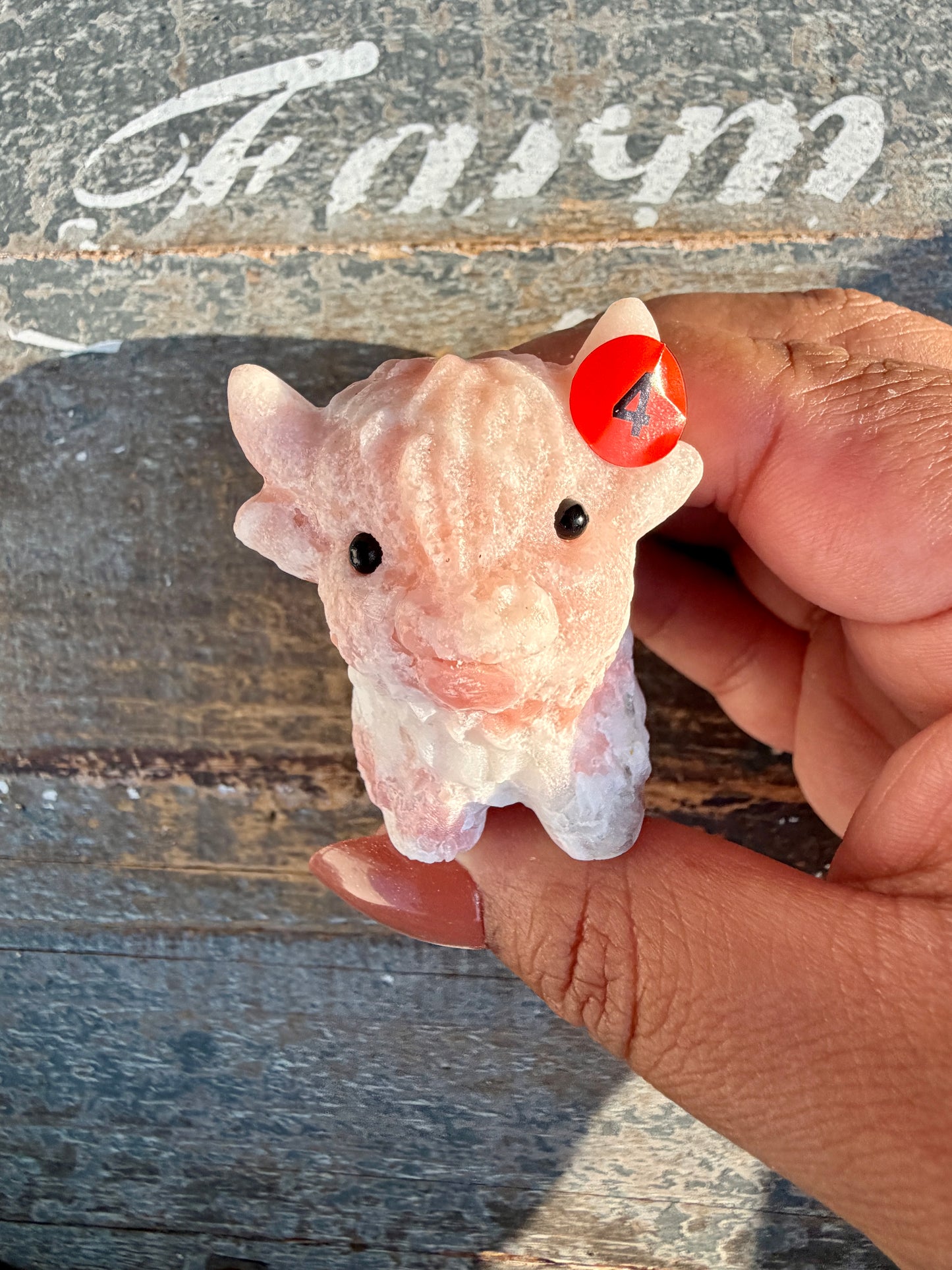 Adorable Pink Opal Highland Cow | Opt 4