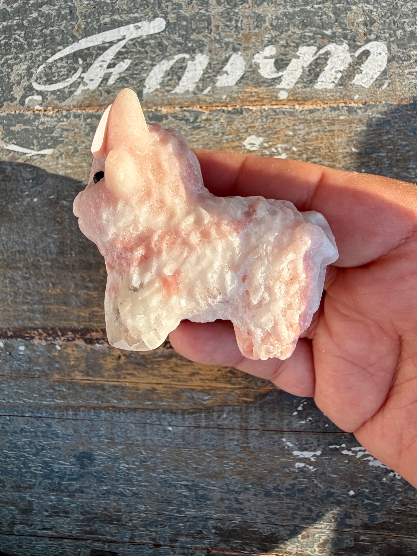 Adorable Pink Opal Highland Cow | Opt 4