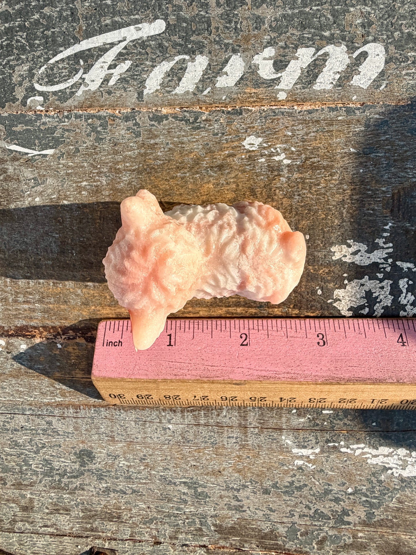 Adorable Pink Opal Highland Cow | Opt 4