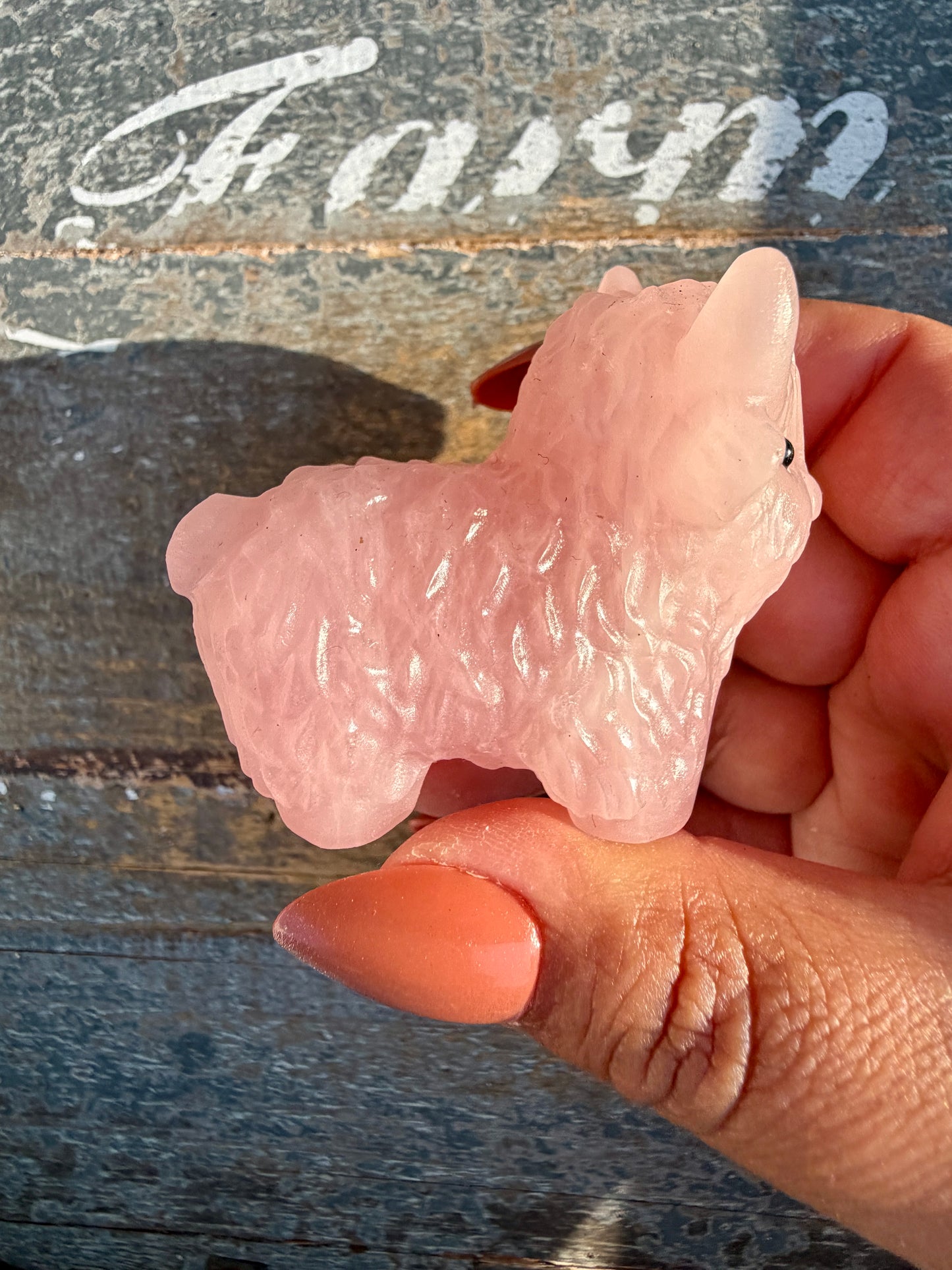 Adorable Rose Quartz Highland Cow | Opt 1