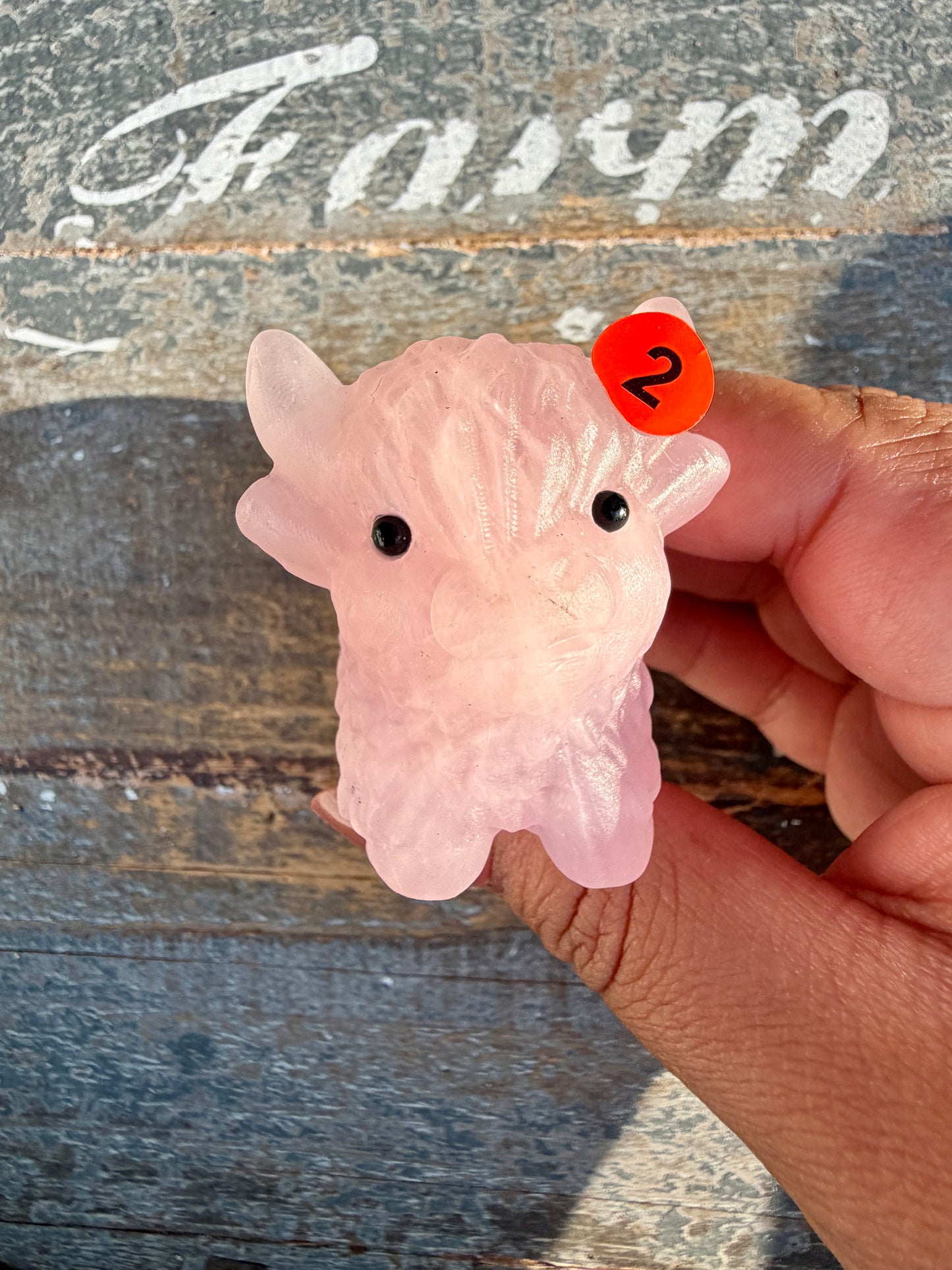 Adorable Rose Quartz Highland Cow | Opt 2