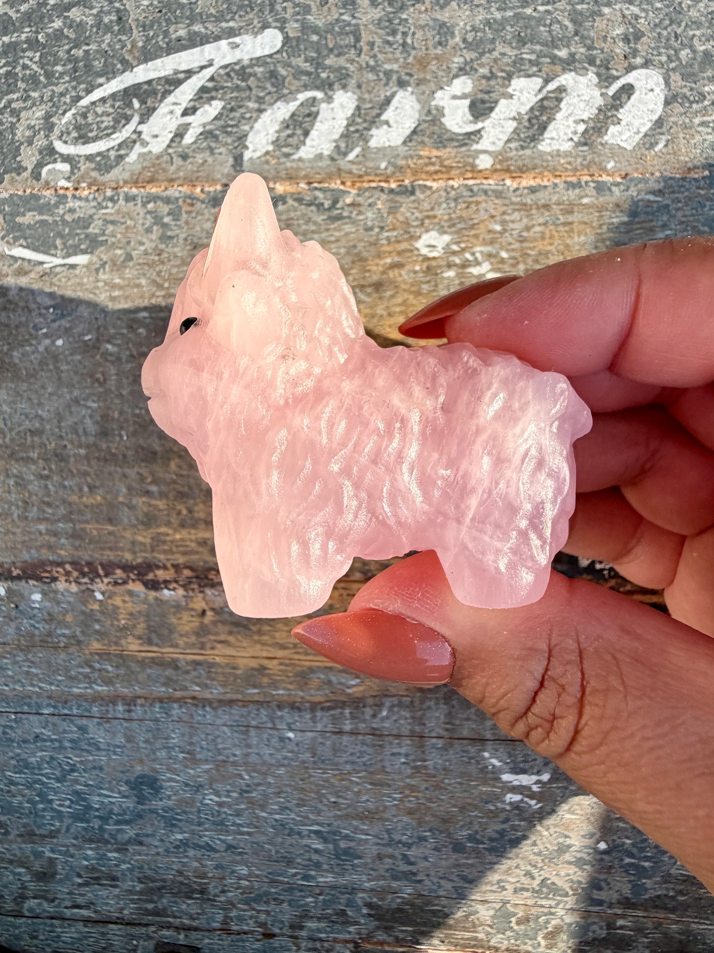 Adorable Rose Quartz Highland Cow | Opt 2
