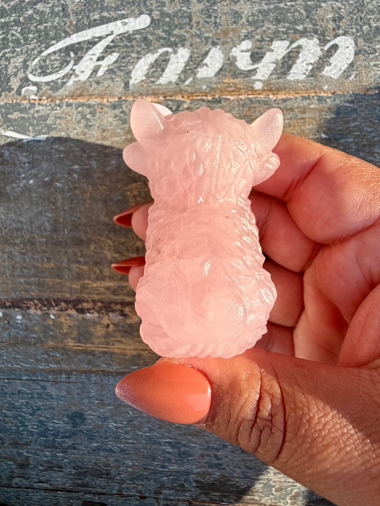 Adorable Rose Quartz Highland Cow | Opt 2