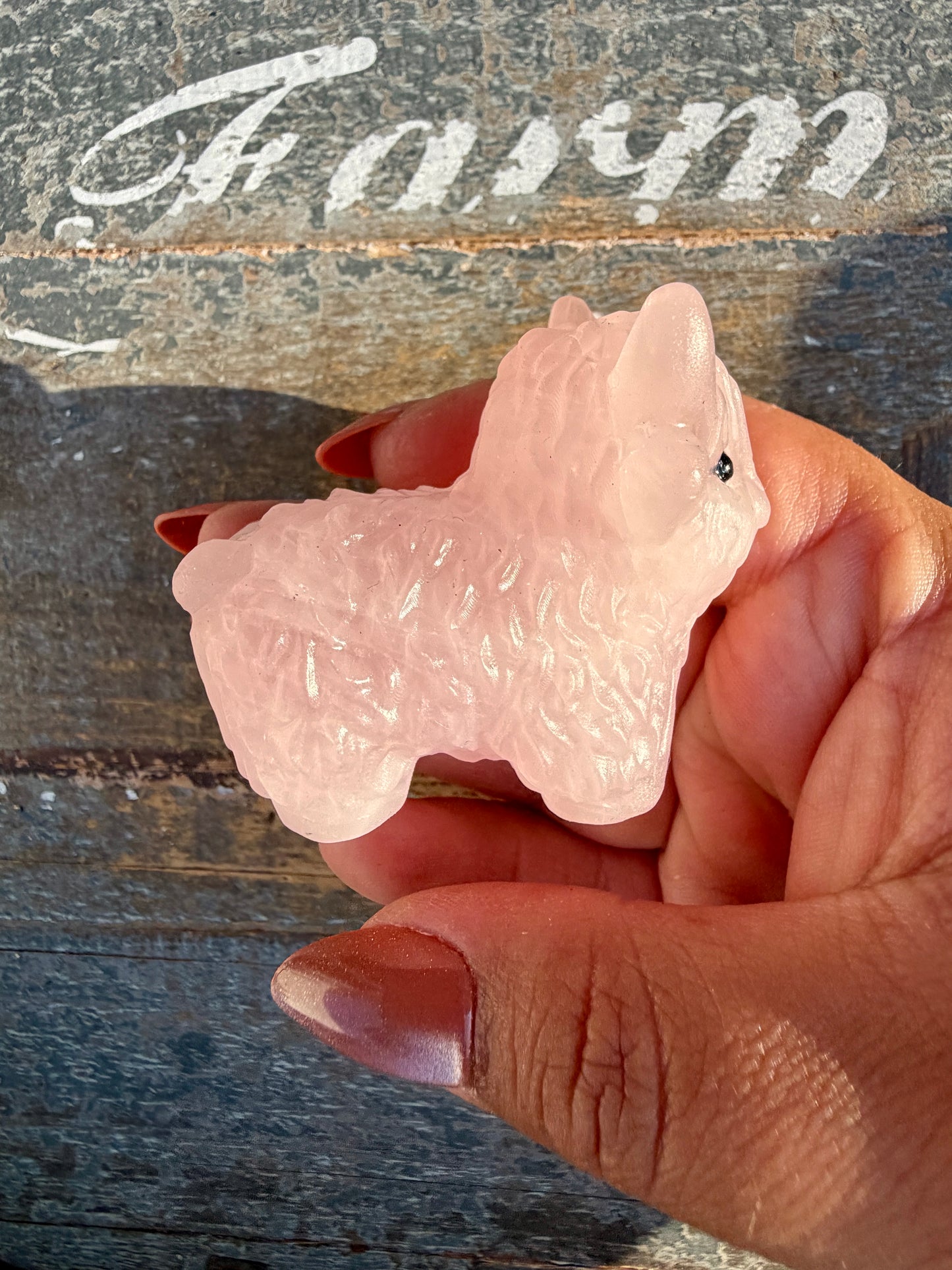 Adorable Rose Quartz Highland Cow | Opt 3