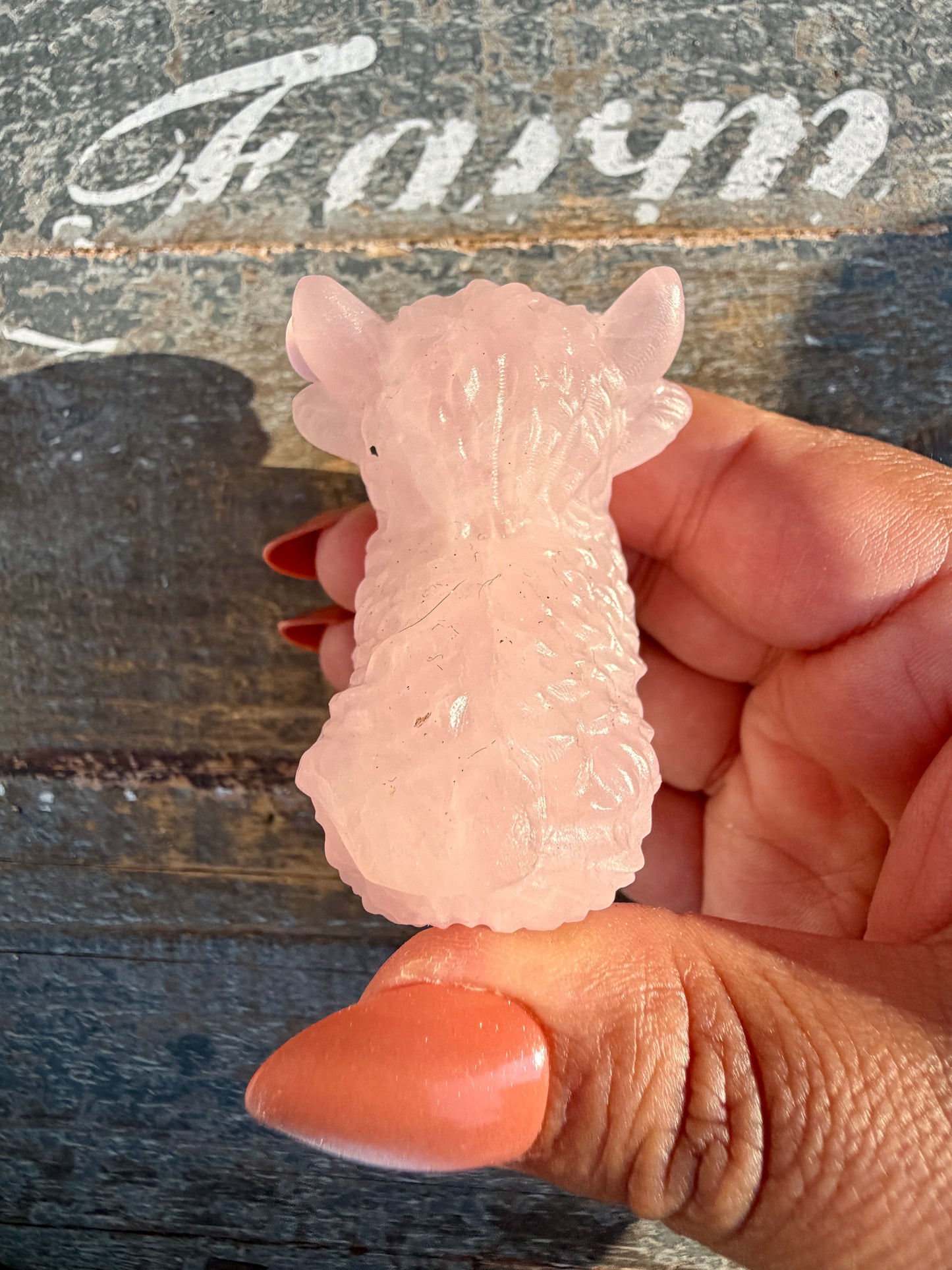Adorable Rose Quartz Highland Cow | Opt 3