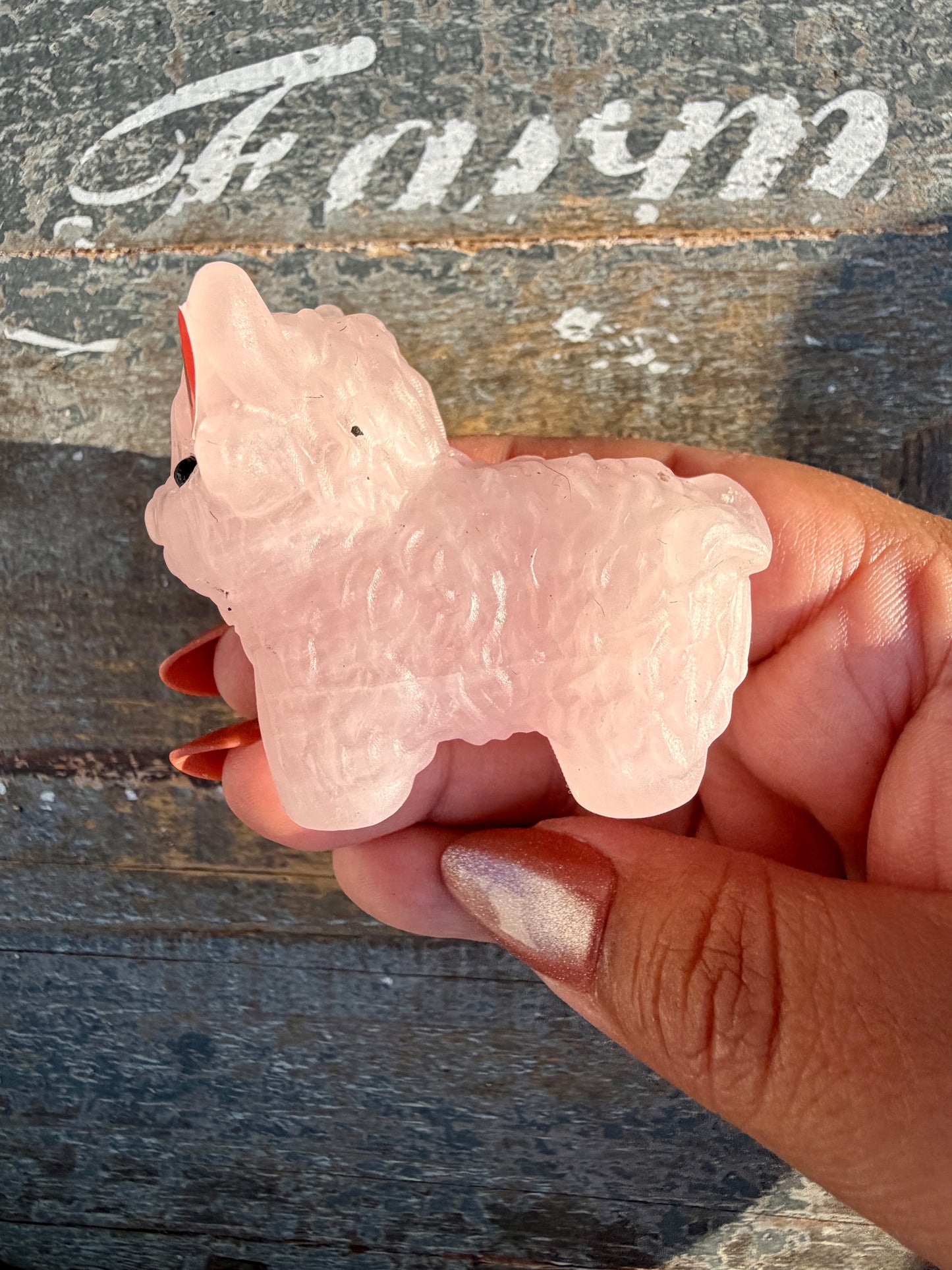 Adorable Rose Quartz Highland Cow | Opt 3