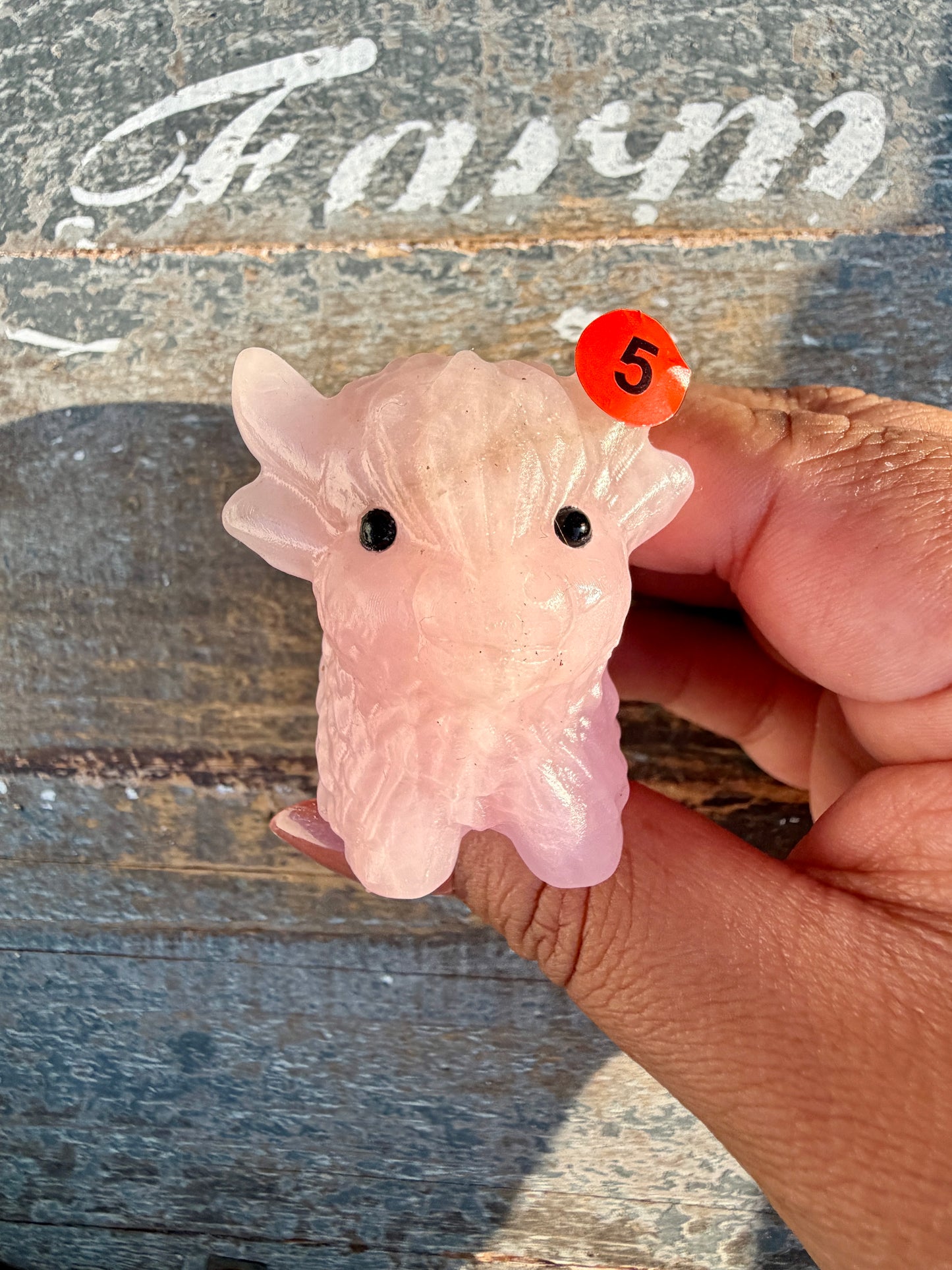 Adorable Rose Quartz Highland Cow | Opt 5