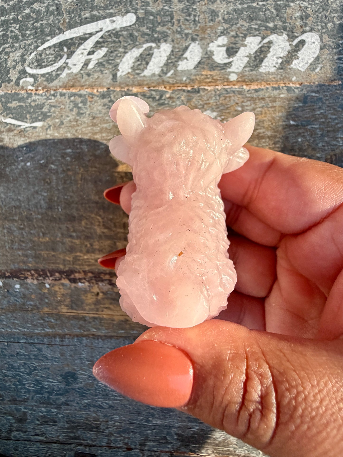 Adorable Rose Quartz Highland Cow | Opt 5