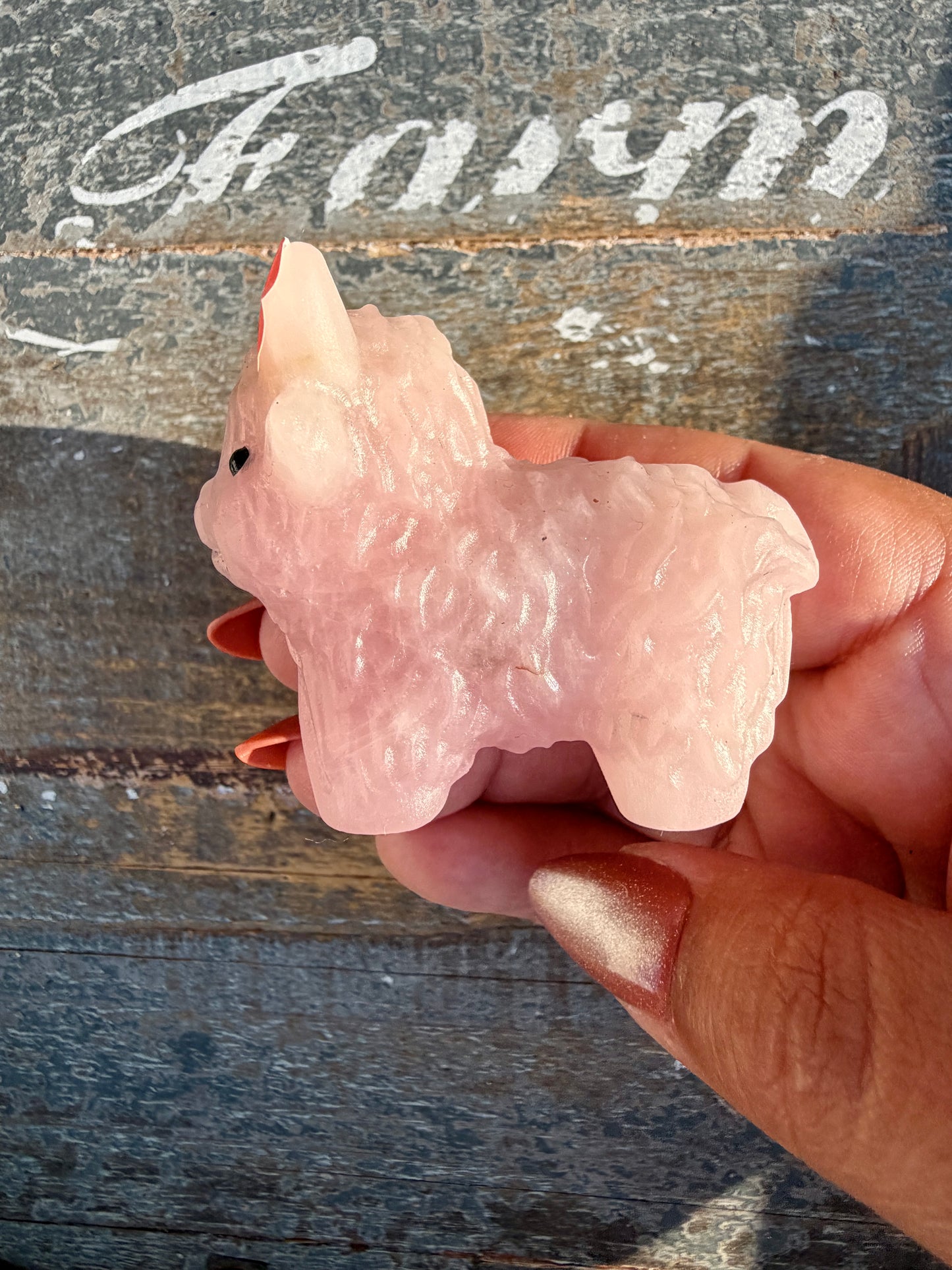 Adorable Rose Quartz Highland Cow | Opt 5