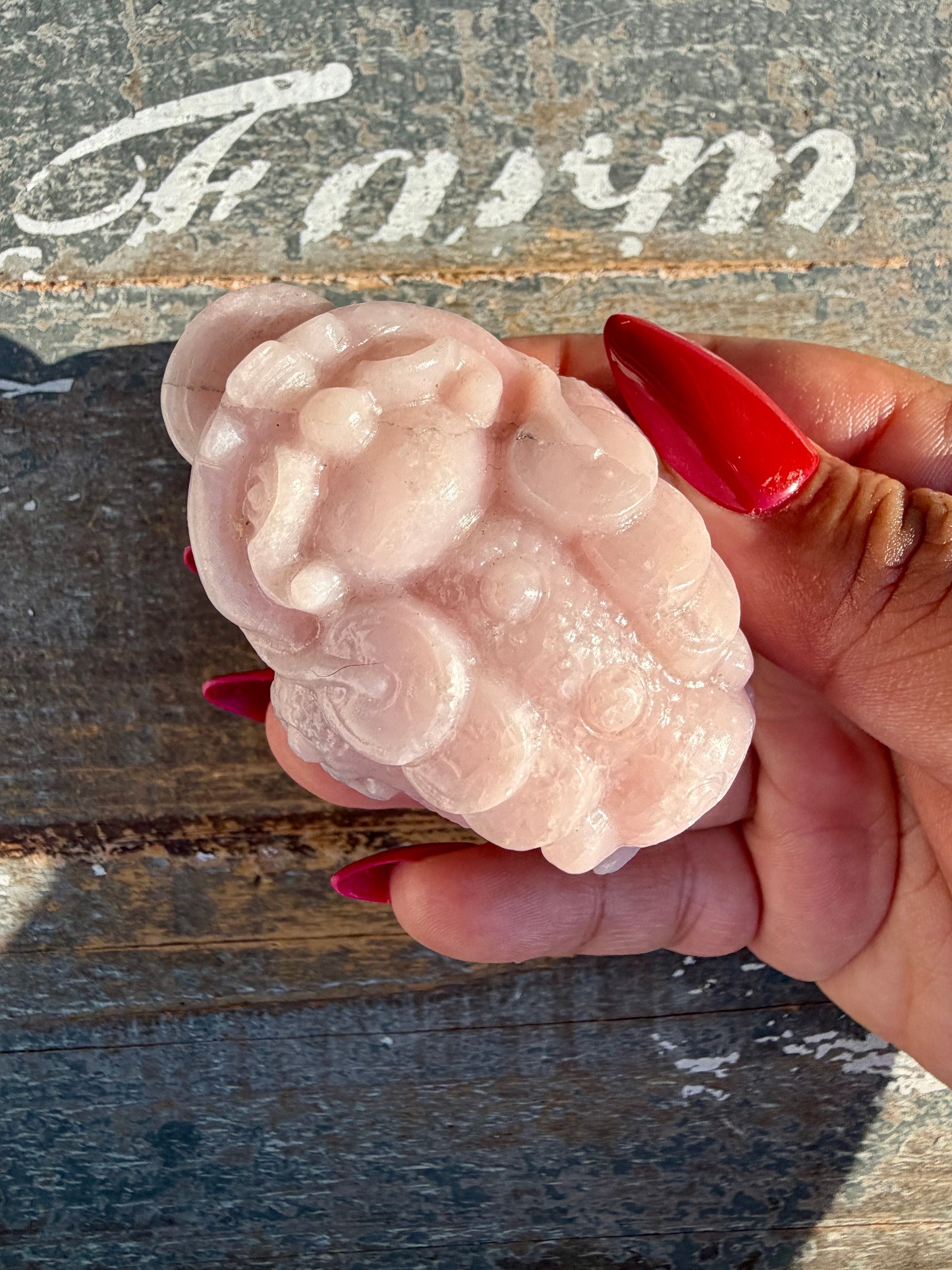 Gorgeous Pastel Pink Opal Money Toad | Opt 19