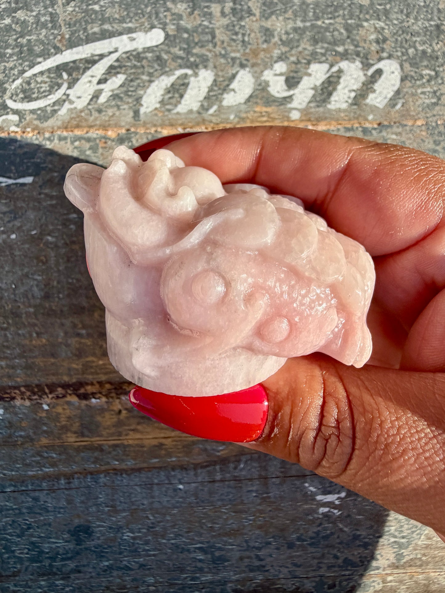 Gorgeous Pastel Pink Opal Money Toad | Opt 19