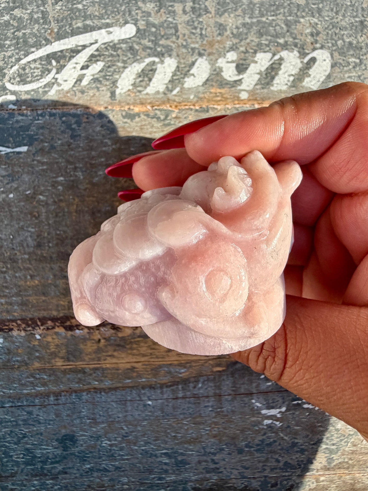 Gorgeous Pastel Pink Opal Money Toad | Opt 19