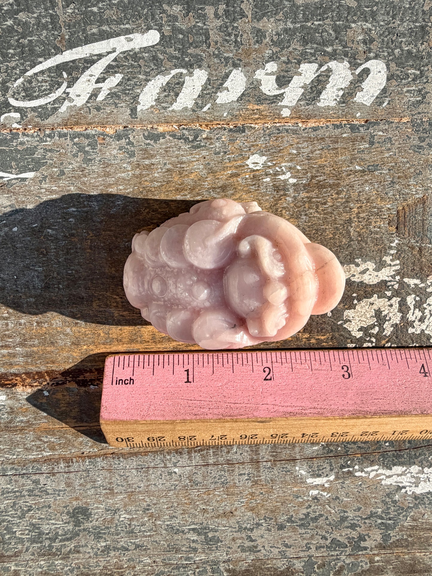 Gorgeous Pastel Pink Opal Money Toad | Opt 19
