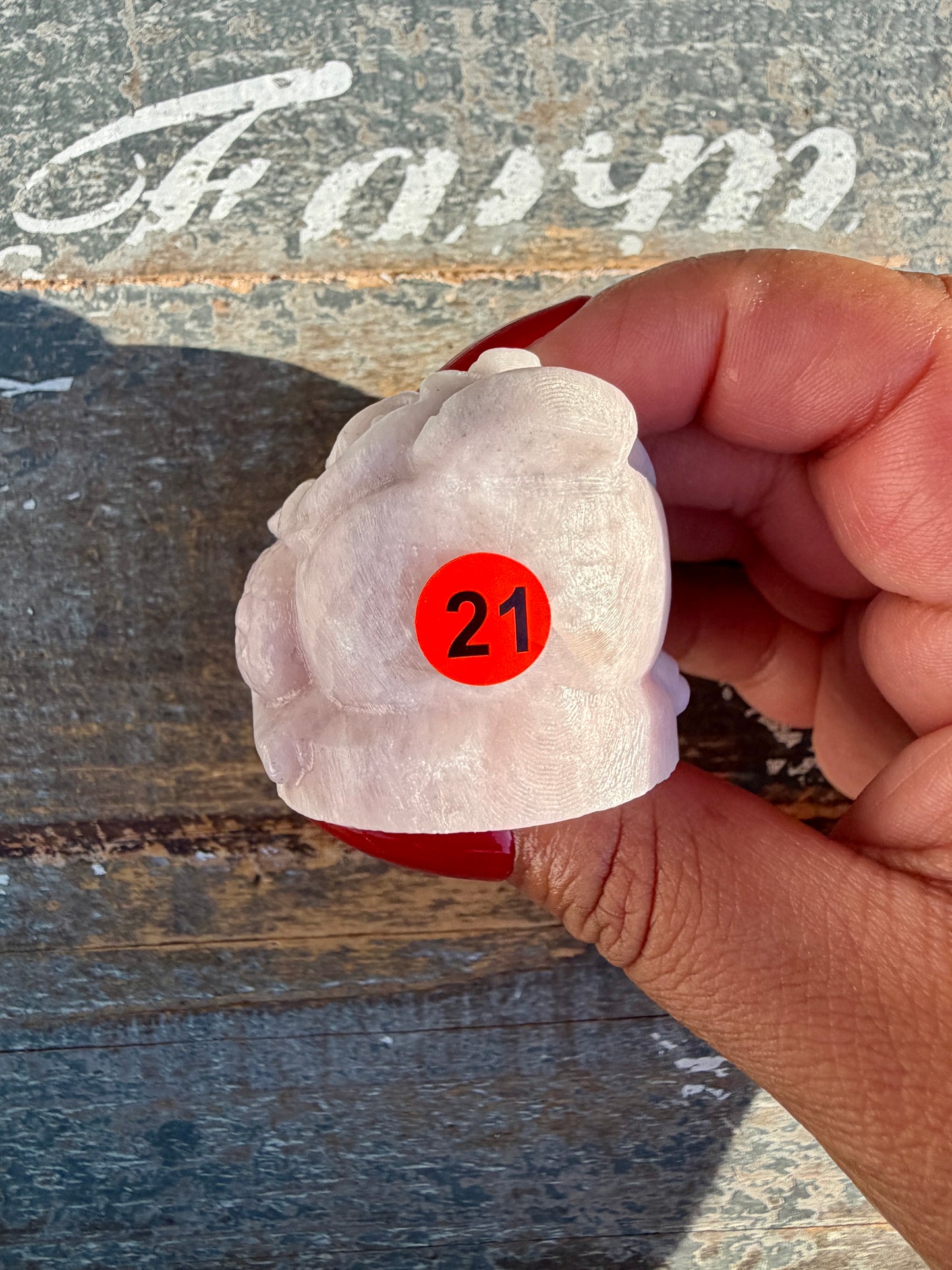 Gorgeous Pastel Pink Opal Money Toad | Opt 21