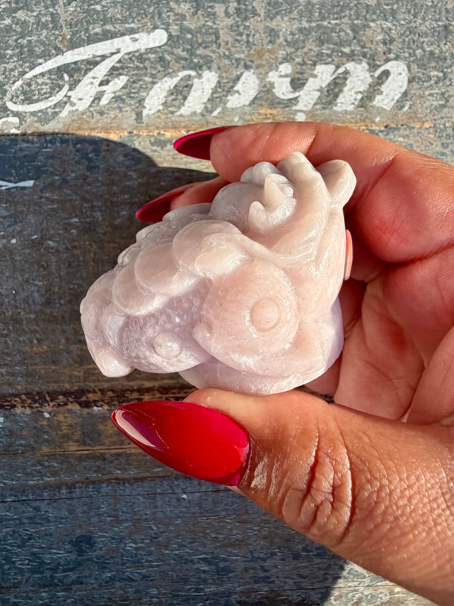 Gorgeous Pastel Pink Opal Money Toad | Opt 21