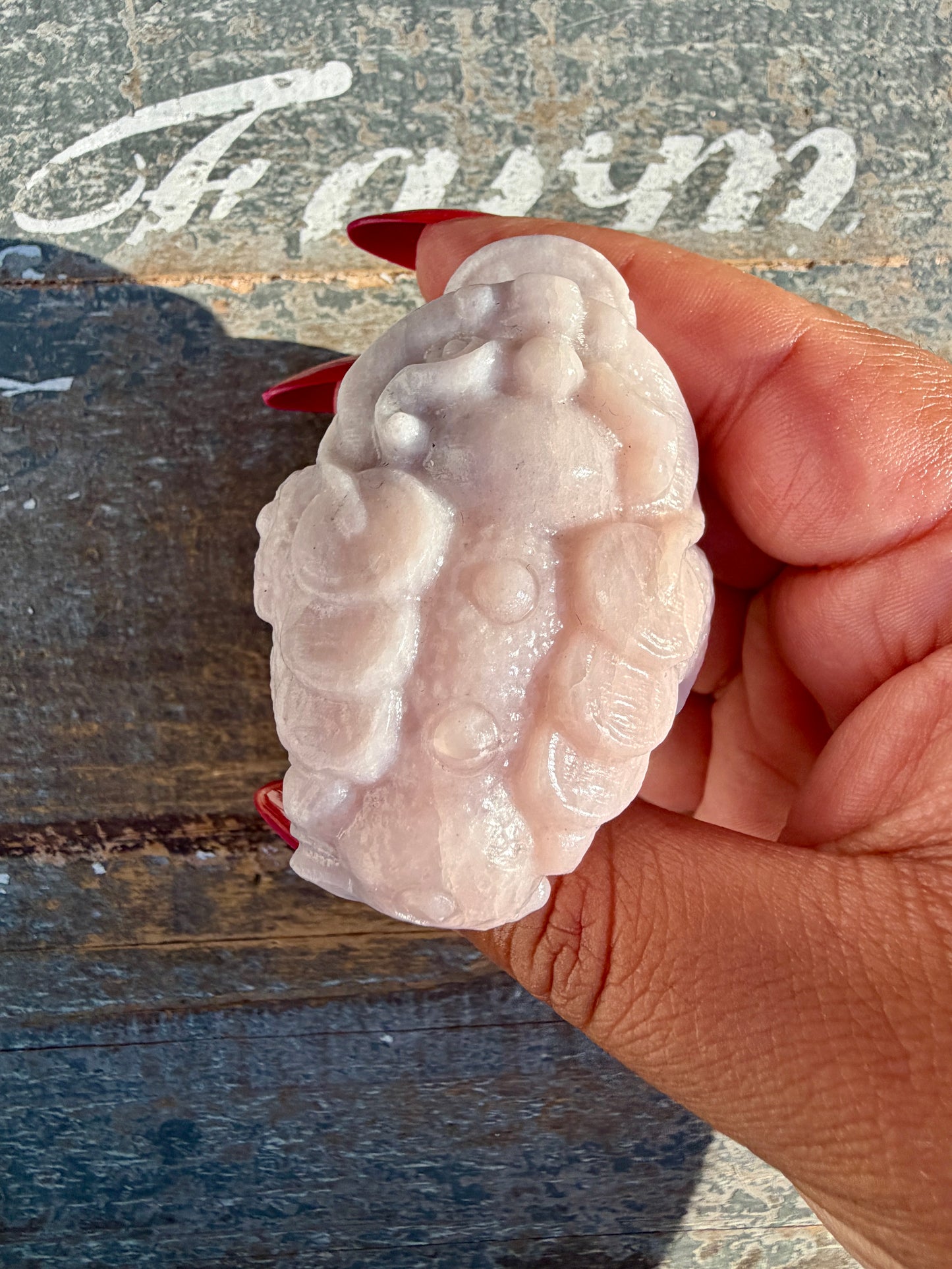Gorgeous Pastel Pink Opal Money Toad | Opt 21