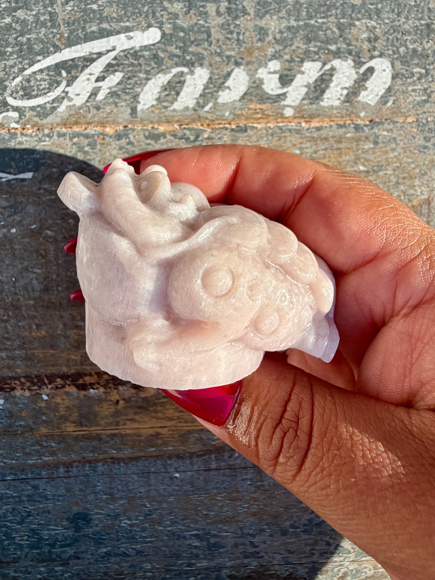 Gorgeous Pastel Pink Opal Money Toad | Opt 21