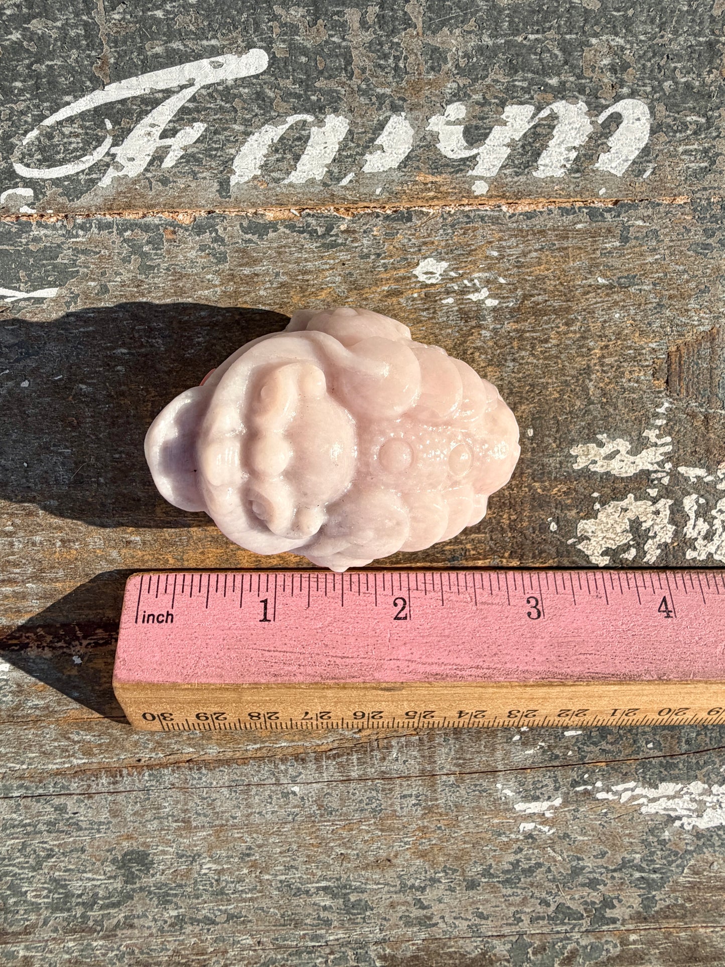 Gorgeous Pastel Pink Opal Money Toad | Opt 21