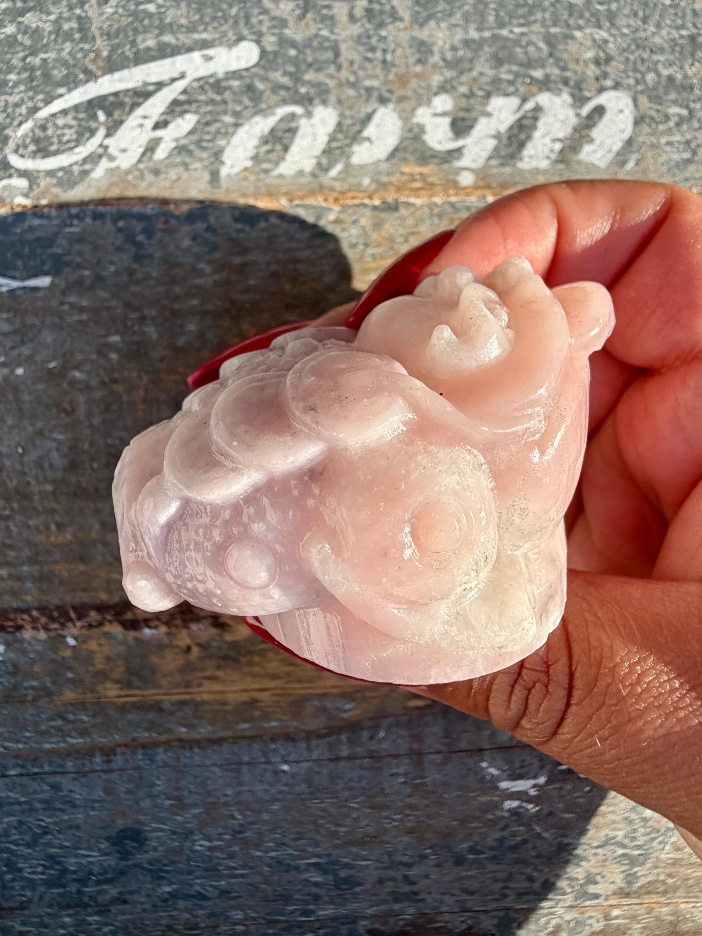 Gorgeous Pastel Pink Opal Money Toad | Opt 23
