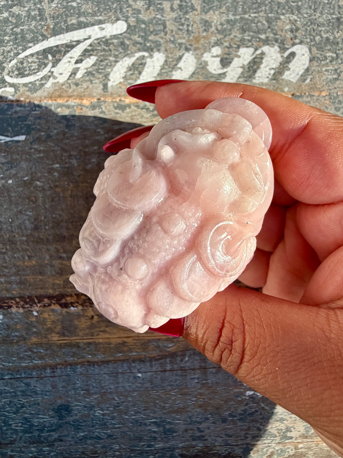 Gorgeous Pastel Pink Opal Money Toad | Opt 23