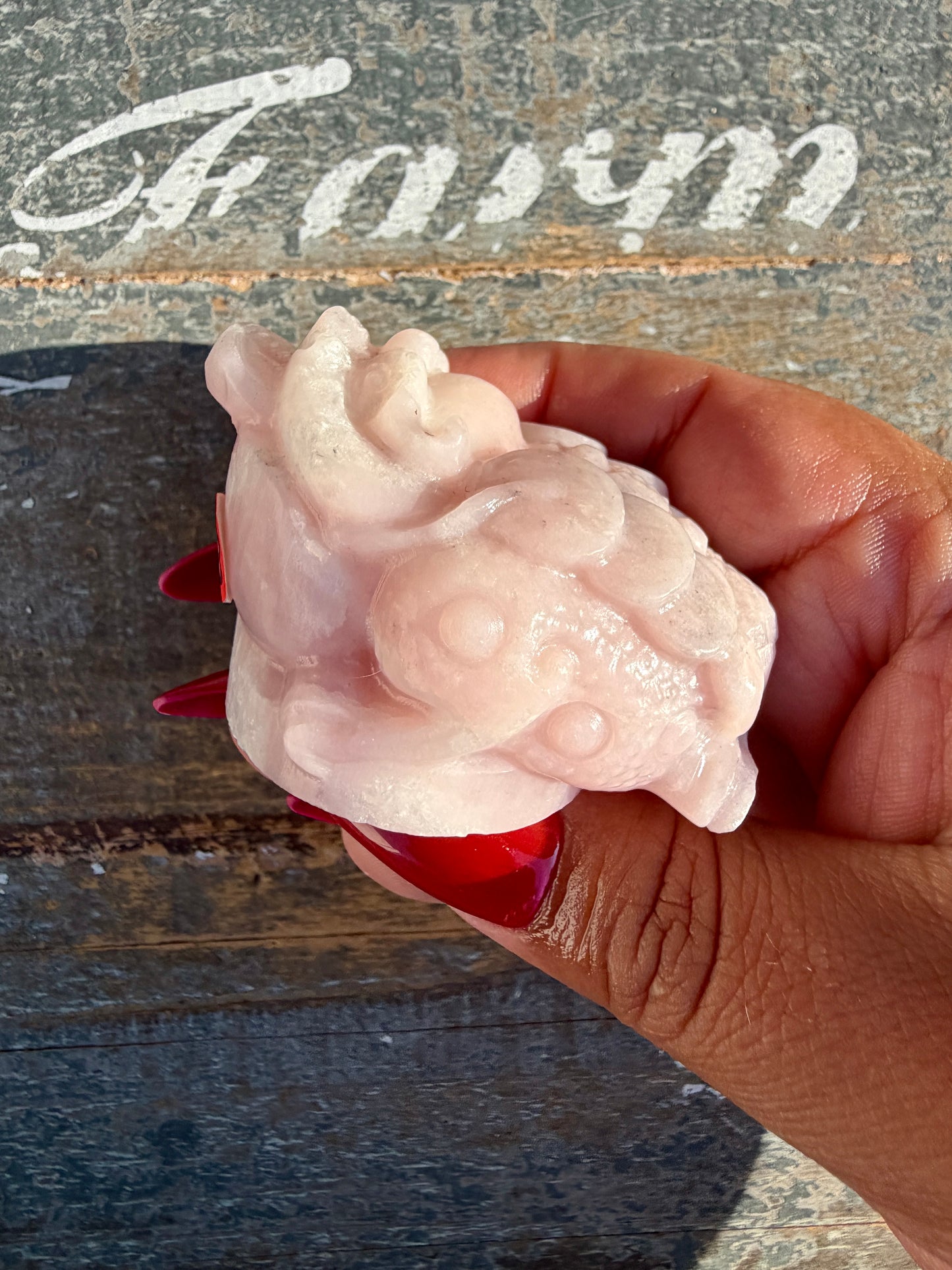 Gorgeous Pastel Pink Opal Money Toad | Opt 23