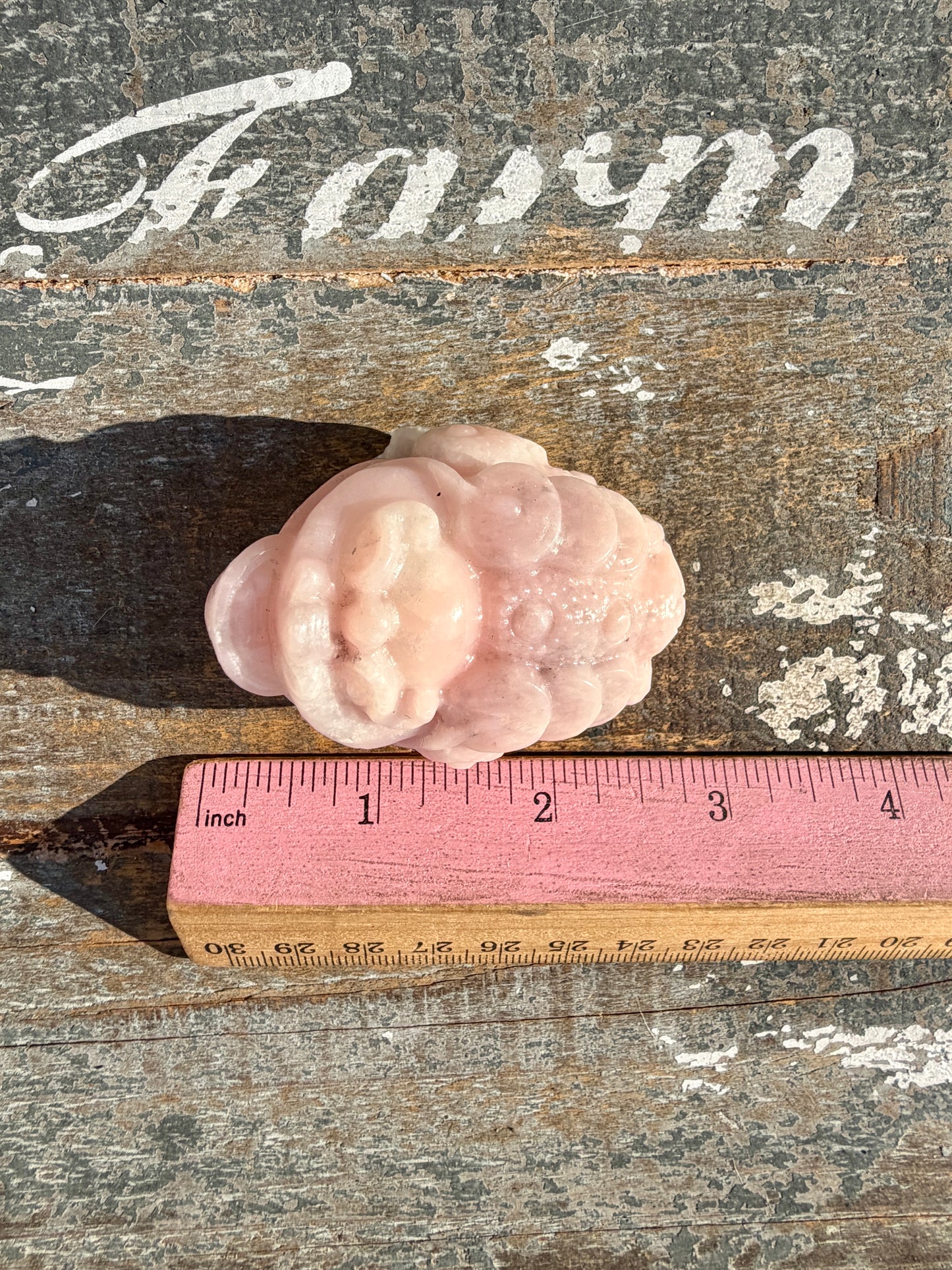 Gorgeous Pastel Pink Opal Money Toad | Opt 23