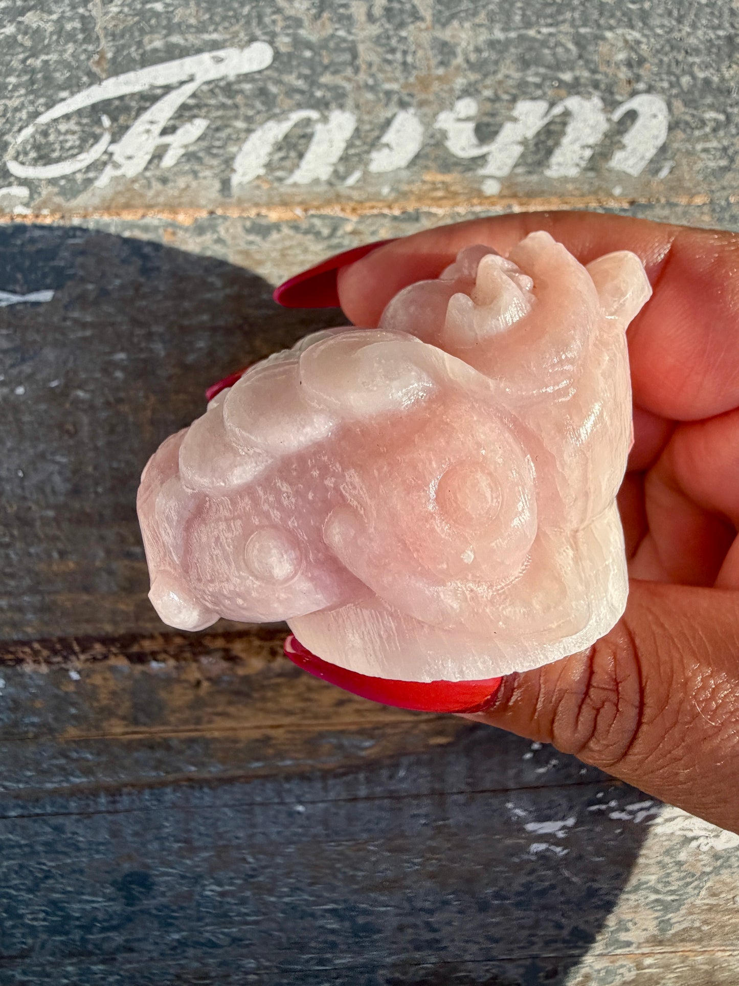 Gorgeous Pastel Pink Opal Money Toad | Opt 12